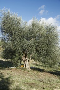 GALLERY 05.jpg