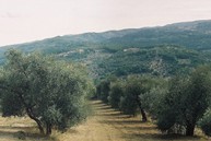 GALLERY 08.jpg