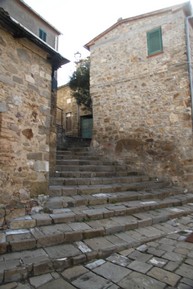 GALLERY 12.jpg